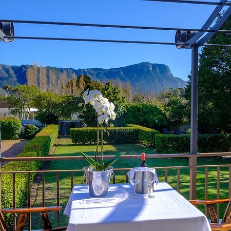 Constantia White Lodge Guest House Κέιπ Τάουν Εξωτερικό φωτογραφία