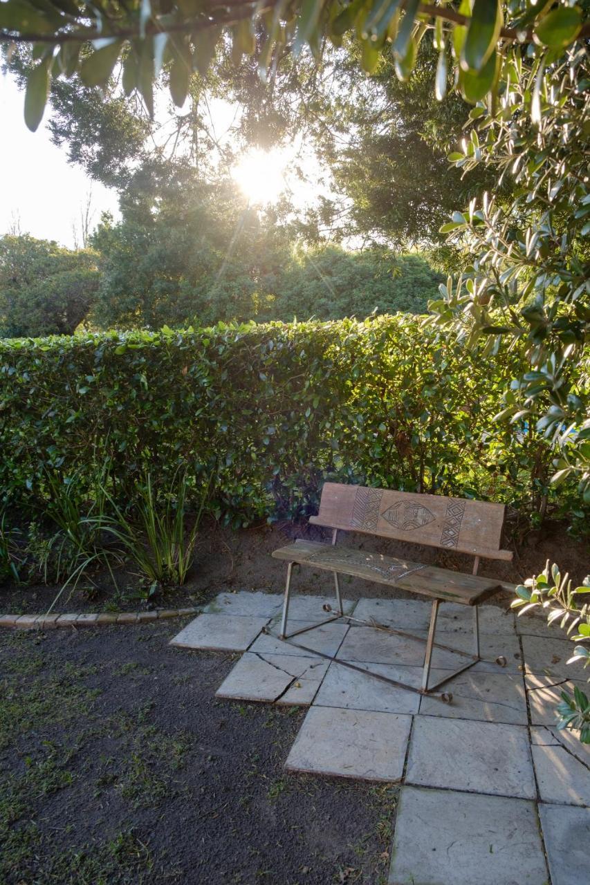 Constantia White Lodge Guest House Κέιπ Τάουν Εξωτερικό φωτογραφία